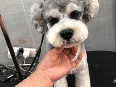 -宠福鑫康馨动物医院·骨科·眼科