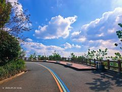 -杭州半山国家森林公园