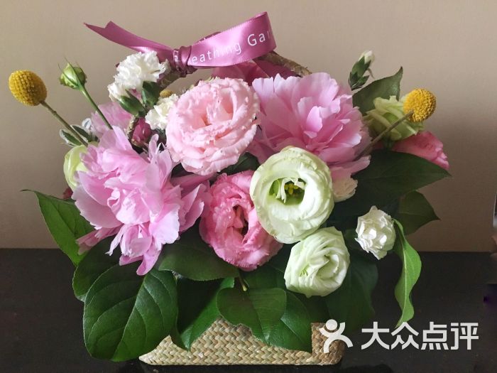 呼吸花园breathing garden图片 - 第2张