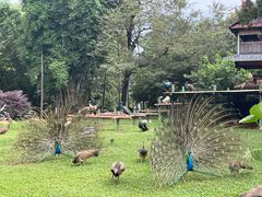 -昆明动物园