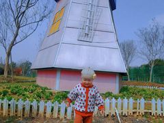 -武汉紫薇都市田园