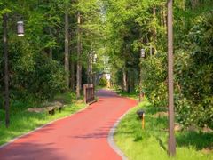 -黄海国家森林公园