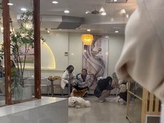 -共舞时光猫咖·狗咖(新街口店)