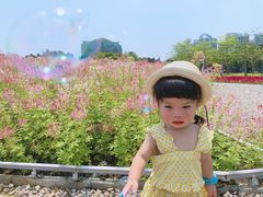-二沙岛艺术公园