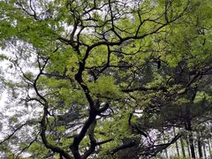 -中山公园