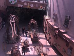 -陕西自然博物馆