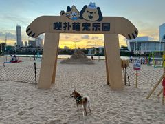 -欢乐海岸椰林沙滩-2025湾区超级灯会