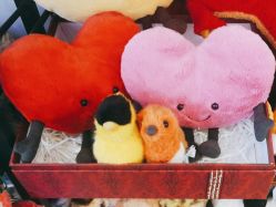 -鹰巢鹰趣·Jellycat LIV Heart丽芙之心·棉花娃娃亲子(亮马桥店)
