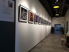 -五峰书院(南洋泾路店)