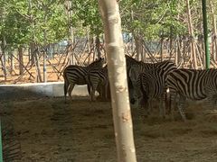 -秦皇岛野生动物园