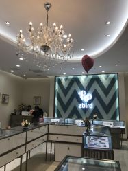 -钻石小鸟钻戒婚戒定制(石路店)