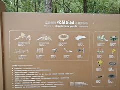 -东湖落雁景区