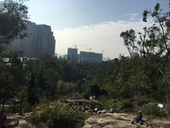 -石溪公园
