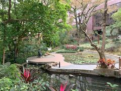 -香港大学
