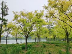 -东郊湿地公园