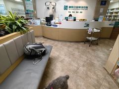 -美联众合动物医院·24h转诊中心