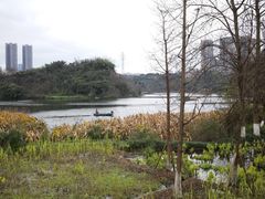 -重庆彩云湖湿地公园