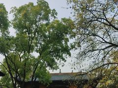 -南华禅寺