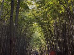 -穹窿山景区