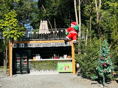 -云栖山谷野奢营地
