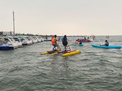-碧海金沙