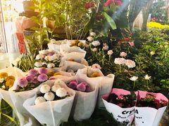 -曲阳花鸟市场(曲阳路店)