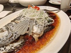 -彩丰楼·中餐厅(国家会展中心上海洲际店)