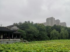 -高子水居