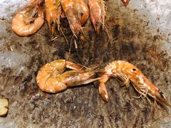 -福成自助烤肉(双桥万达店)