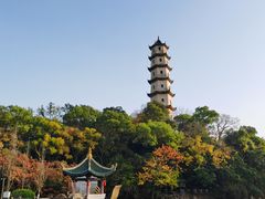 -江心屿景区