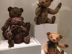 -济州岛泰迪熊博物馆