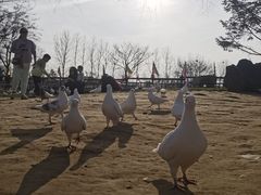 -南通洲际绿博园