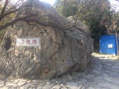 -阳台山自然风景区