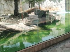 -灵玲国际马戏城