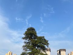 -迎泽公园