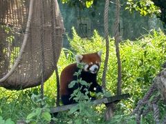 -宁波野生动物园