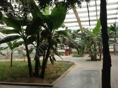 android_upload_pic-石家庄市动物园