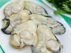 生蚝-花苑美食横琴生蚝火锅(拱北粤华路店)