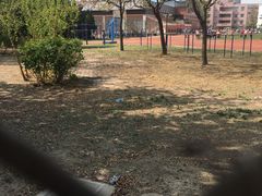 -天津市第二中学