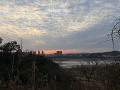 -马口生态公园