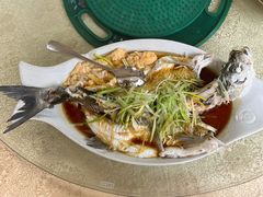 清蒸和顺鱼-陶虹海鲜餐厅(禅城石湾店)