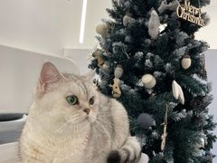 -comecome来吧宠物(奥克斯中心店)