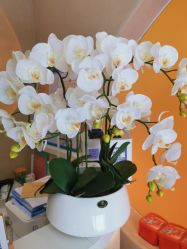 -Hi Beauty Skin 科技美肤中心
