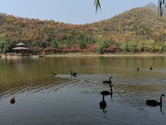 -静之湖度假区