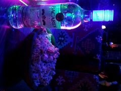 android_upload_pic-ECHO 三毛酒吧