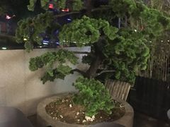 门面-STARRY CAFE & LOUNGE BAR(高新店)