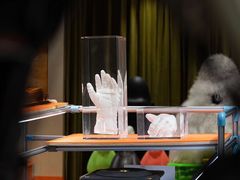 -drivepro(三里屯店)