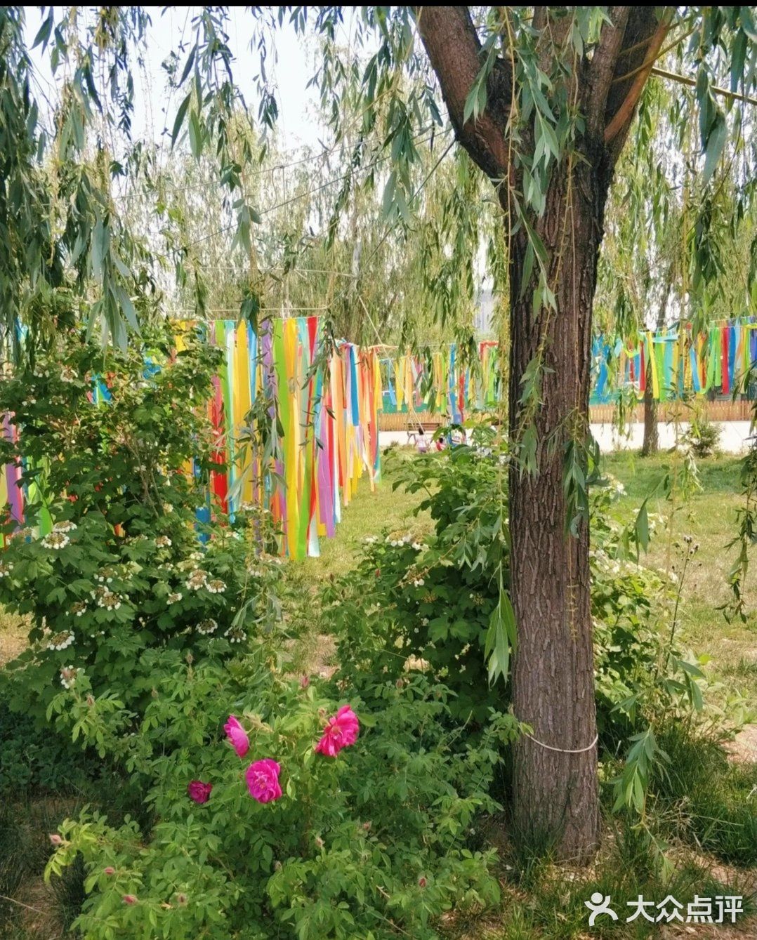 [糖果]嗨翻六一|可以和宝宝户外撒野的好地方降价啦！