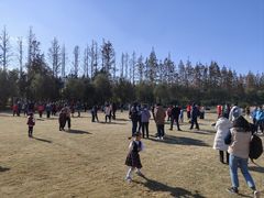 -前小桔亲子创意农场·草莓采摘·露营烧烤