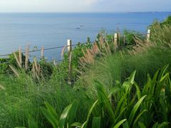 -Rock Bar Bali(Bali)